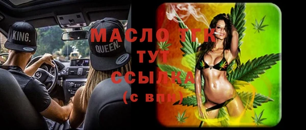 молекула духа Кадников