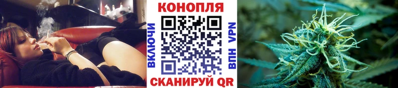 Бошки Шишки конопля  где продают   Магас 